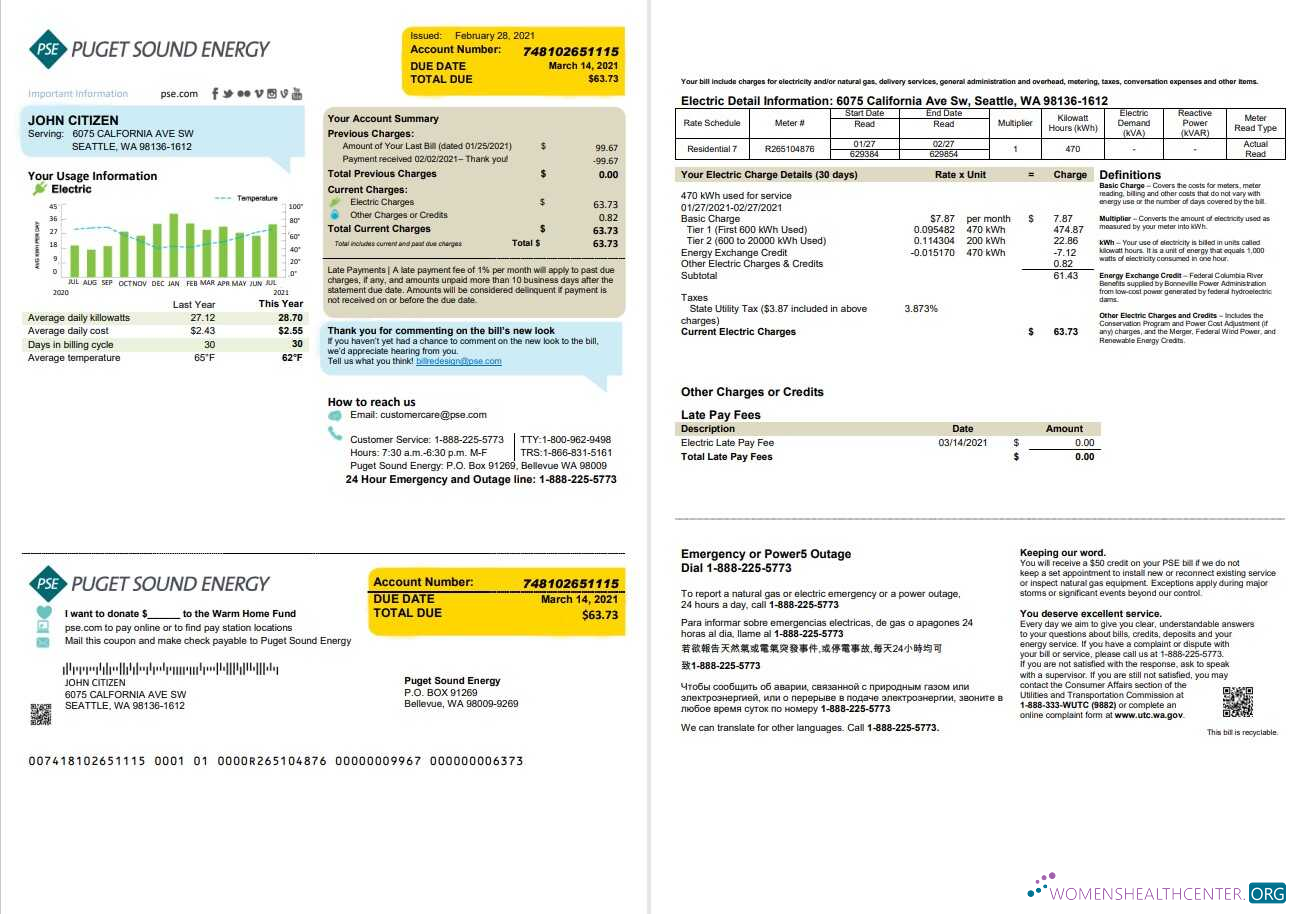 USA Washington Puget Sound Energy utility bill template in Word and PDF format, 2 pages, version 2